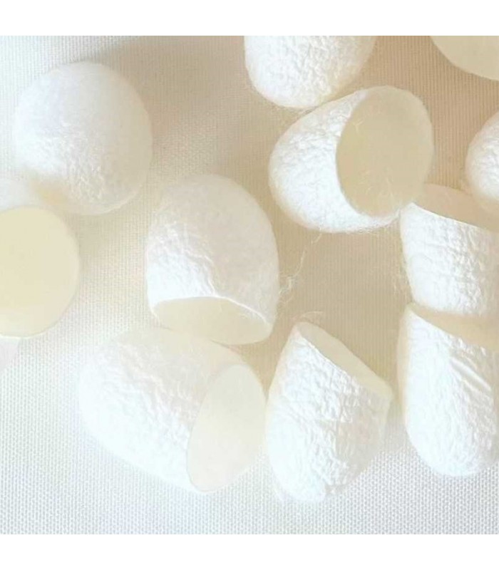 COCONS DE SOIE EXFOLIANTS